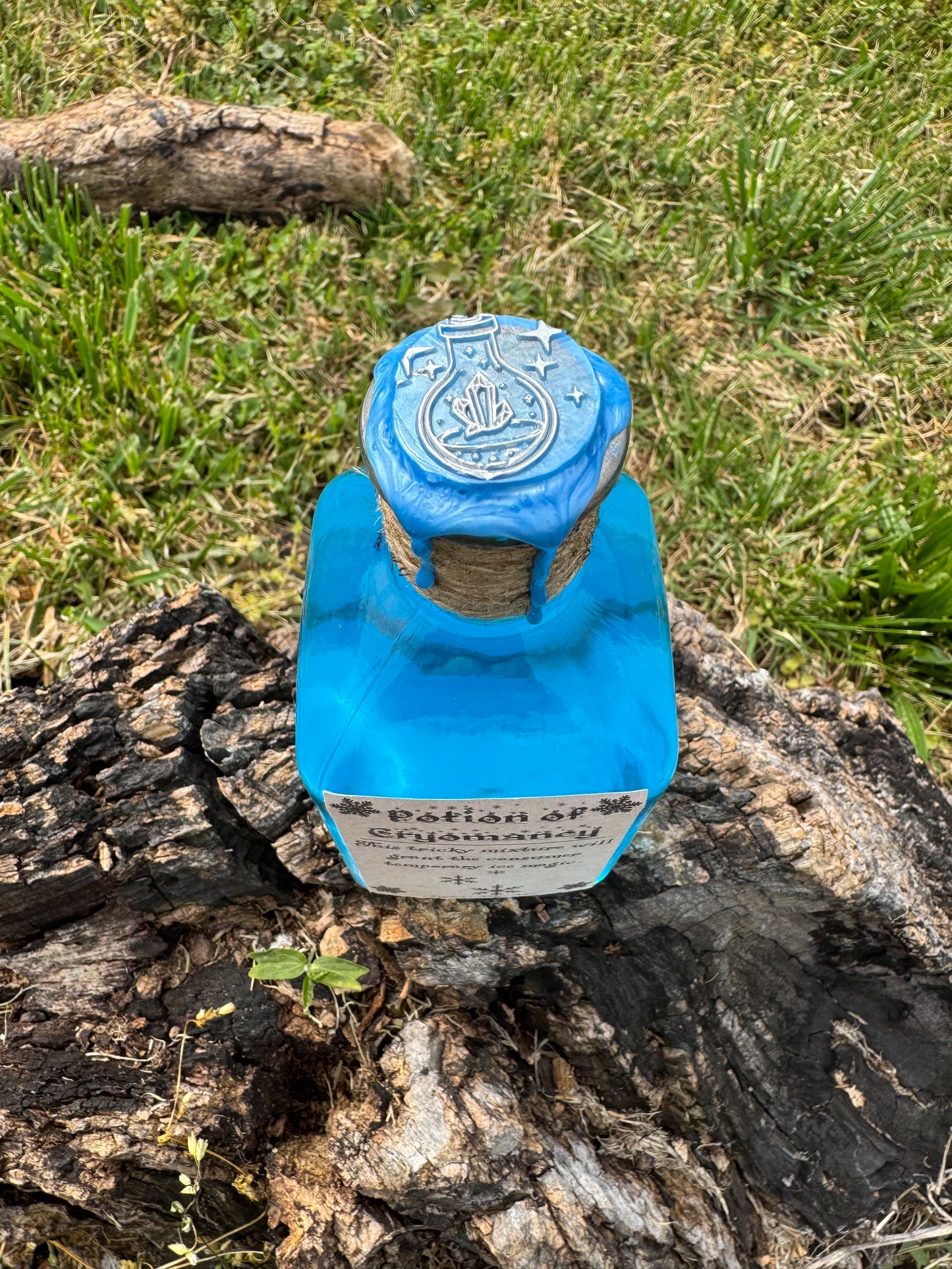 Potion of Cryomancy